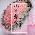 上官腾飞 - 此生挚爱