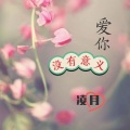 爱你没有意义