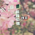 颜笑 - 愿你前程似锦
