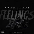 Feelings (feat. Flame)(Explicit)