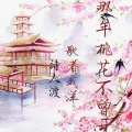 歌者我洋、忧天呀 - 那年桃花不曾开