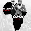 Sekem (feat. Swizz Beatz)(Remix)