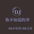 DJ小星星、DJ宝贝 - 遗憾