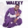 One Mind、Walexy、t-bone - Personal Baby (feat. One Mind & Tbone)