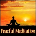 Loving Soothing Spa Orchestra - Thankful Vibes