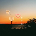 苏梓墨 - 爱毒