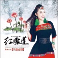 禾麻迪娜 - 红雪莲 (葫芦丝版)