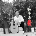 王碎林 - 如果爱你也是错