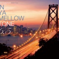 IN YA MELLOW TONE 6.5