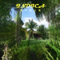 Land Of Peace、랜드오브피스、모트 (Motte) - Indica