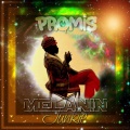 Promis - Autobiography