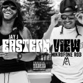 jay j、Mikrofone Rob - Va in My Blood (Explicit)