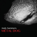 Andy Summers - Ishango Bone