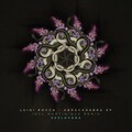 luigi rocca - Abracadabra