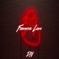 DIV - Forever Love