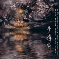 寒玄 - 多情岸