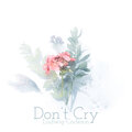 Ludwig Carleson - Don't Cry