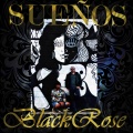 Black Rose - Suenos Blackrose