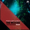 The Woods (feat. Lil Dicky)(Remix|Explicit)