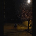 Kay.Ali、Judy - Midnight Walks (Explicit)