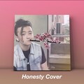 贾斯汀-吐吐 - Honesty