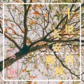 吴琬 - 十里长安断清秋