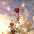zkdlin_佛爷、影棠、HAYA、简木哥哥_ - kokobop