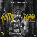 Lil Migo - Gotta Be Dumb (Explicit)