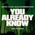Big Gov、Lil Gov、Black Guvernment Gang - You Already Know