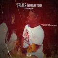 Trials & Tribulations (Explicit)