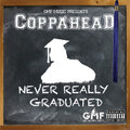 Coppahead、bqスタヂオ - Stop Bluffing