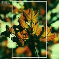 r.v.o - The Embassy