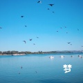 林斜阳、CANT太子 - 梦