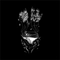 Zahed Sultan - Cake & Butter