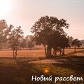 shag - Зажги солнце