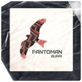Fantôman - Disco in Me