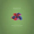 Aqueous - Weight of the Word