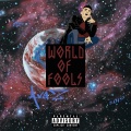 Avaz、Diko LP - World of Fools