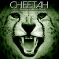 Stonne - Cheetah