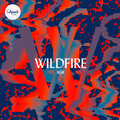 CITIPOINTE LIVE、Beau Lamshed - Lion (feat. Beau Lamshed)