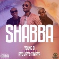 Shabba (feat. Ayo Jay & Timaya)