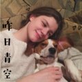 麝月、小胖坨、夜忻樂 - 我要找到你