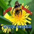 divine sounds - Little Reggae