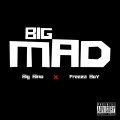 Casino Gambino、Freeza Boy - Big Mad (Explicit)