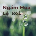 Châu Khải Phong - Ngắm hoa lệ rơi