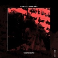 Stokely Carmichael - 1000reasons (Explicit)
