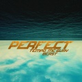 tempo、Beast、Mc Gury - Perfect