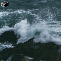 dryhope - high tide