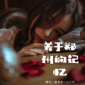 后来的我们 (Remix)