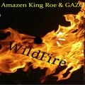 Amazen King Roe、Gazo - Wild Fire